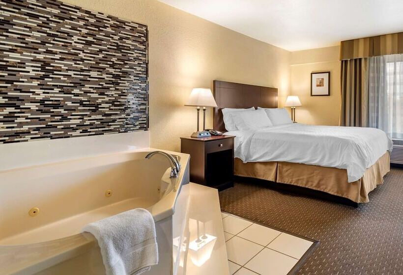 酒店 Comfort Inn & Suites Dahlonega University Area
