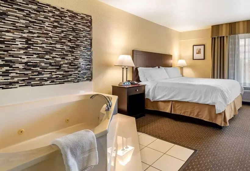 Отель Comfort Inn & Suites Dahlonega University Area