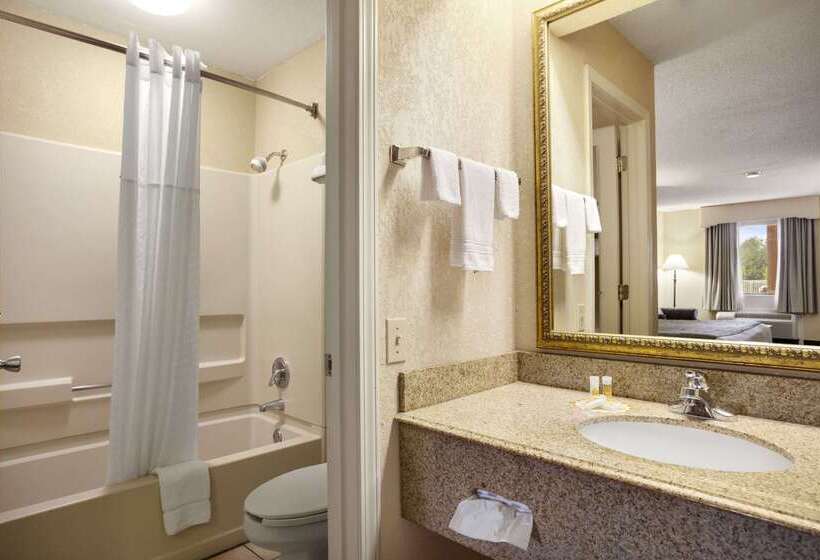 酒店 Days Inn & Suites By Wyndham Stuttgart