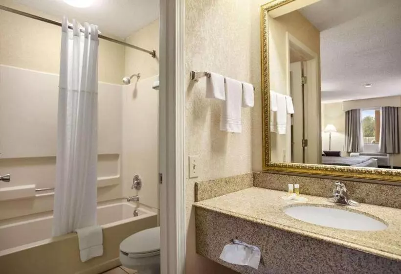 בית מלון כפרי Days Inn & Suites By Wyndham Stuttgart