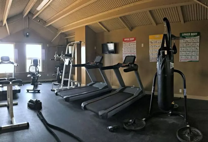 Отель Gold King Mountain Inn