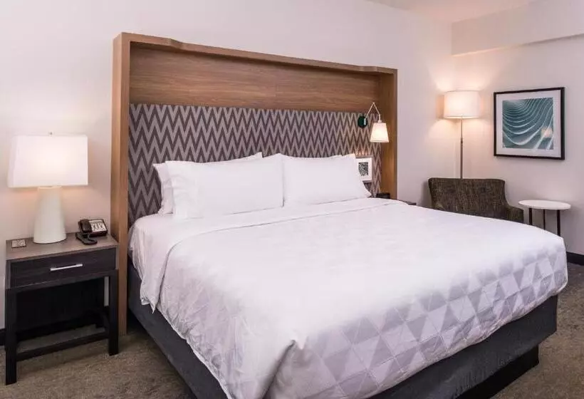 酒店 Holiday Inn Detroit Northwest Livonia, An Ihg