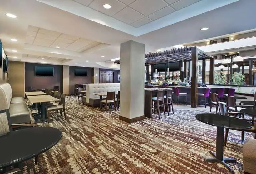 هتل Holiday Inn Rapid City   Rushmore Plaza, An Ihg