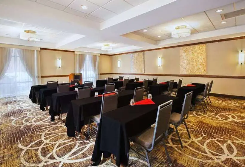 هتل Holiday Inn Rapid City   Rushmore Plaza, An Ihg