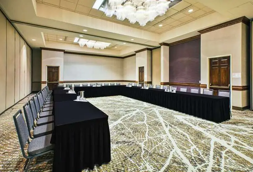 هتل Holiday Inn Rapid City   Rushmore Plaza, An Ihg