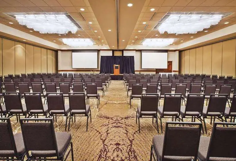 هتل Holiday Inn Rapid City   Rushmore Plaza, An Ihg