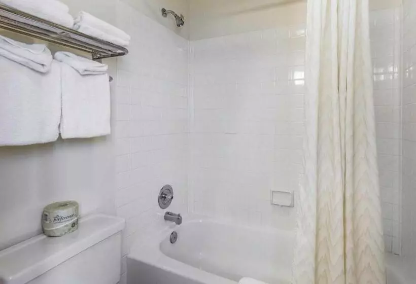 Отель Rodeway Inn