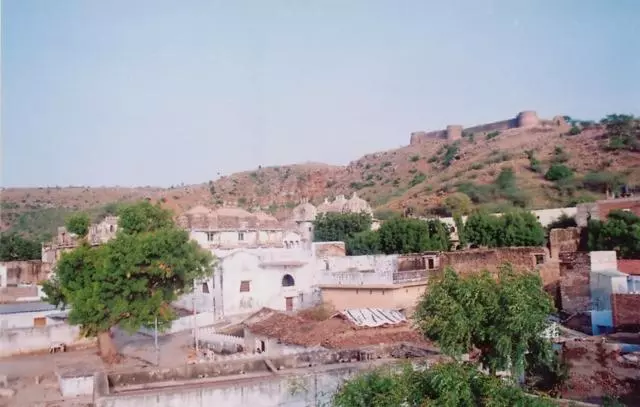 ホテル Bassi Fort Palace Chittorgarh