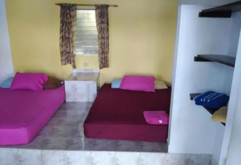 ホテル Boca Brava Lodge