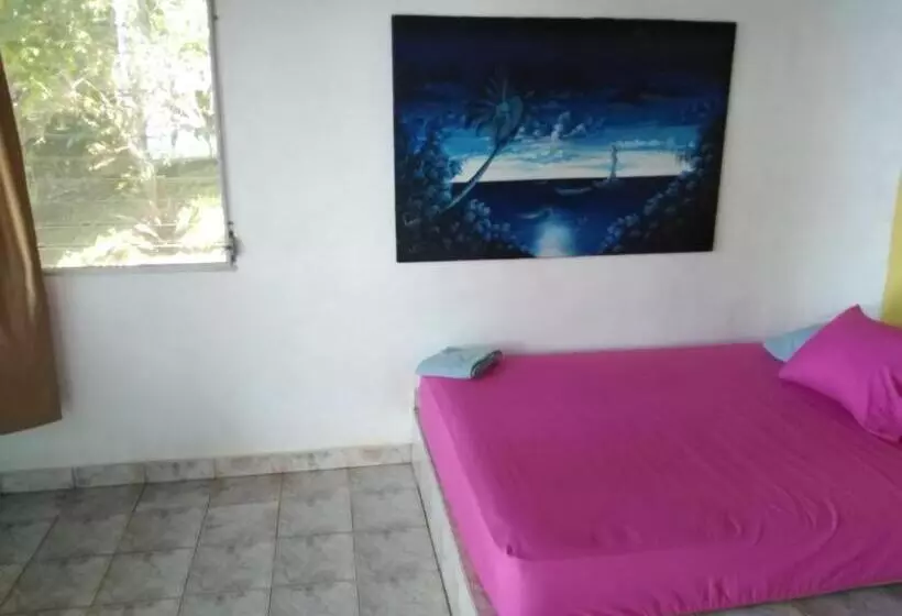 ホテル Boca Brava Lodge