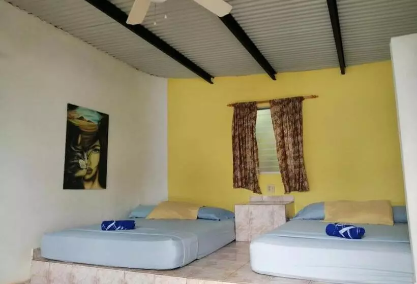 ホテル Boca Brava Lodge