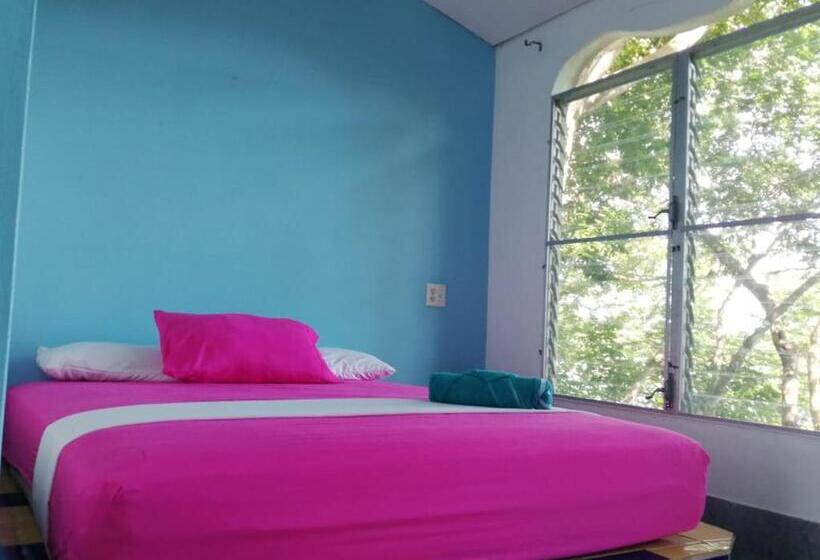 בית מלון כפרי Boca Brava Lodge