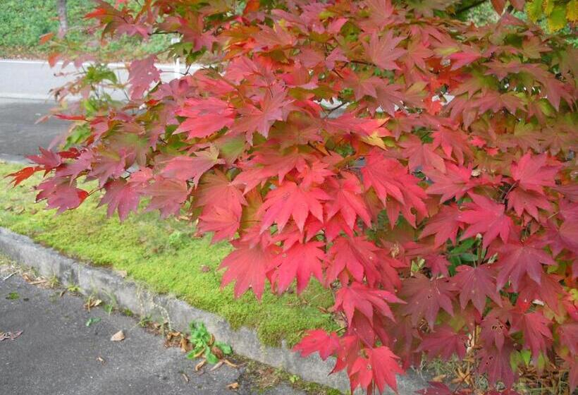 ريوكان Bunanoyado Koase