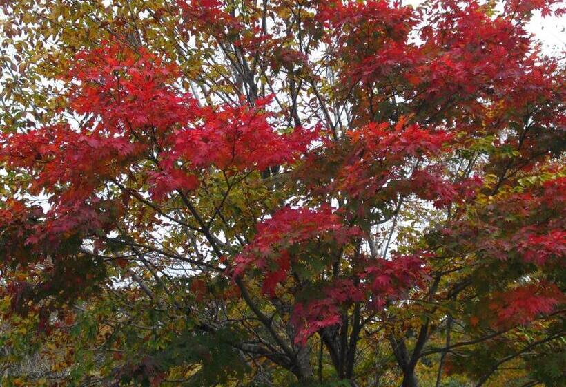 ريوكان Bunanoyado Koase