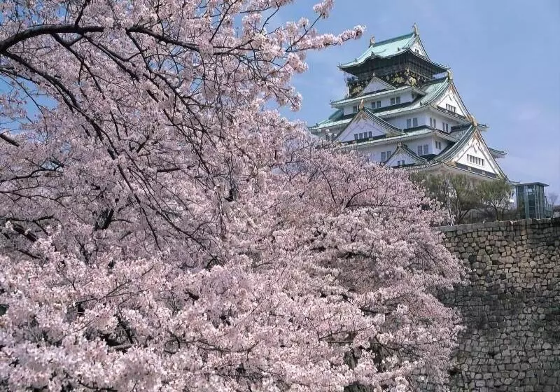Henn Na Resort & Spa Kansai Airport   Former Henn Na Hotel Kansai Airport
