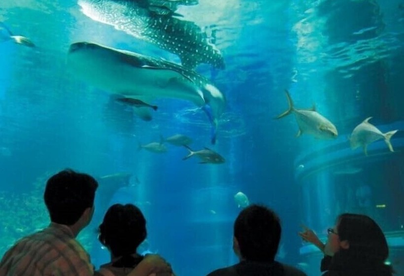 Henn Na Resort & Spa Kansai Airport   Former Henn Na Hotel Kansai Airport