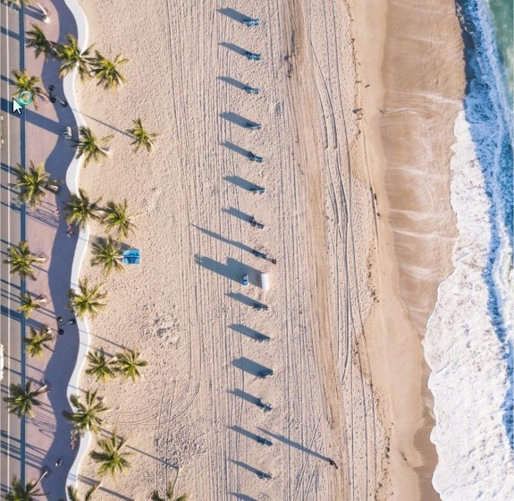 فندق Gale Fort Lauderdale Beach