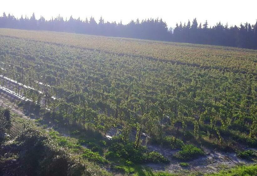 Maison De 2 Chambres Avec Jardin Clos Et Wifi A Pujaut