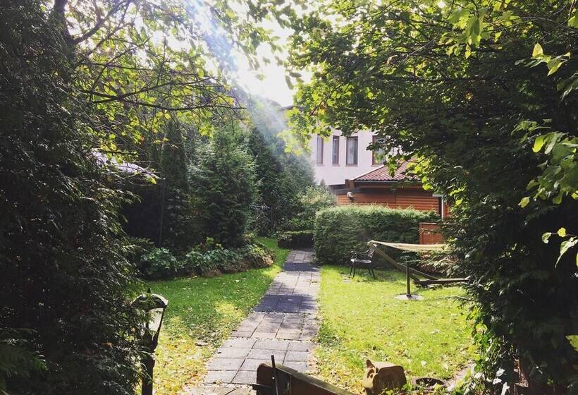 بنسيون Gästehaus Frohne