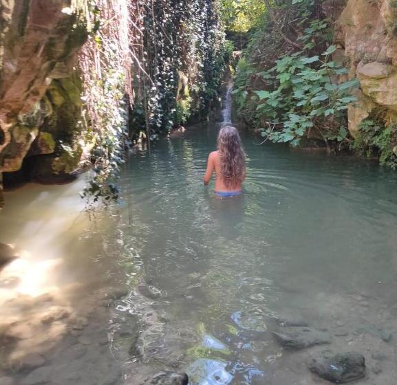 膳宿费 Casa Malferit