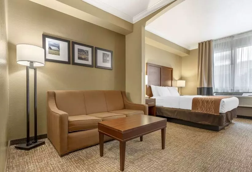 Отель Comfort Inn Arcata