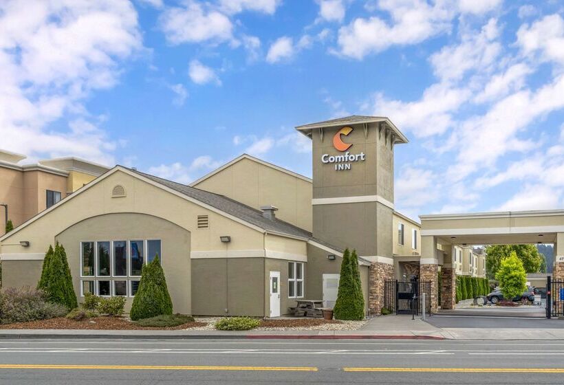 בית מלון כפרי Comfort Inn Arcata
