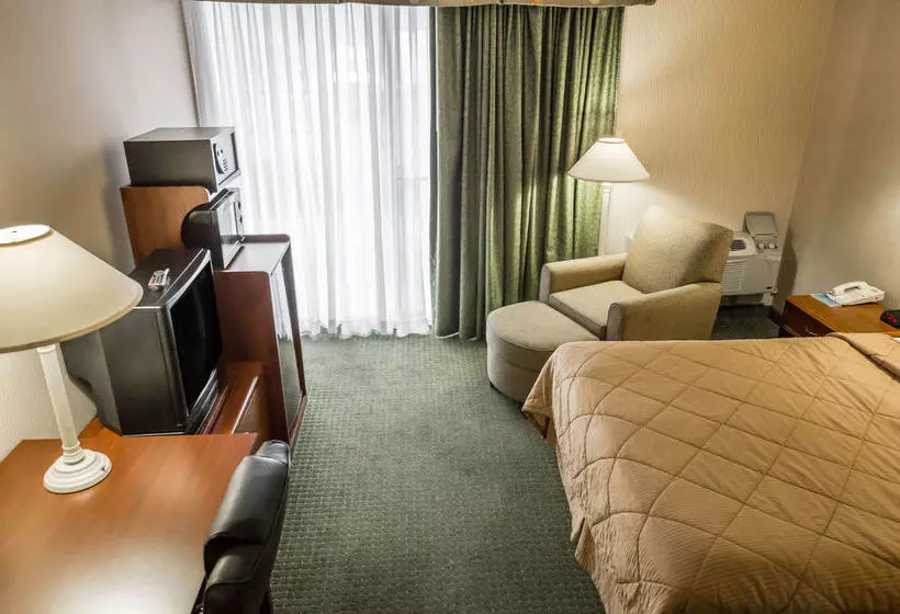 Отель Rodeway Inn