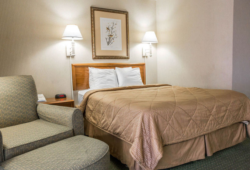 فندق Rodeway Inn