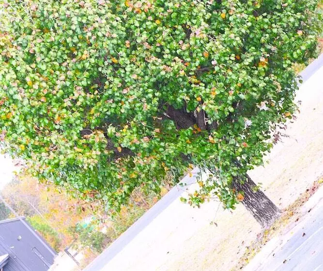 בית מלון כפרי Florence Inn And Suites