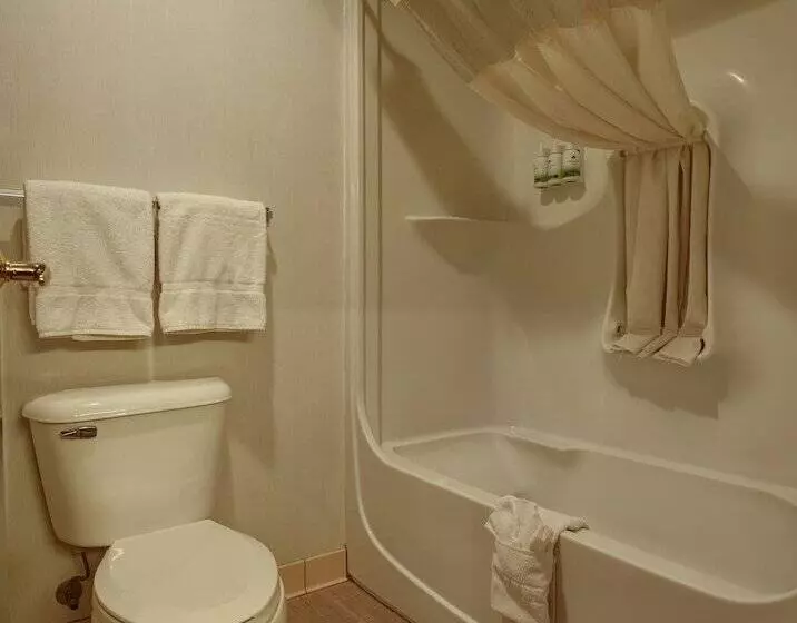 Отель Greentree Inn Albuquerque North I25