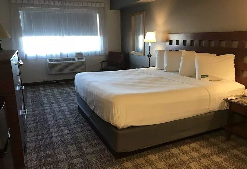 Отель Greentree Inn Albuquerque North I25