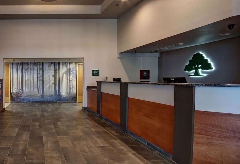 هتل Greentree Inn Albuquerque North I25