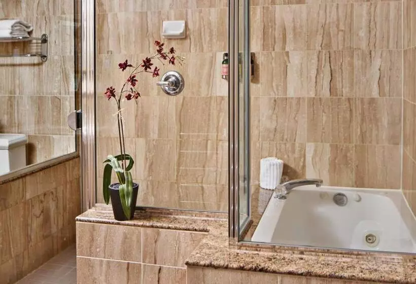 酒店 The Davenport Lusso, Autograph Collection