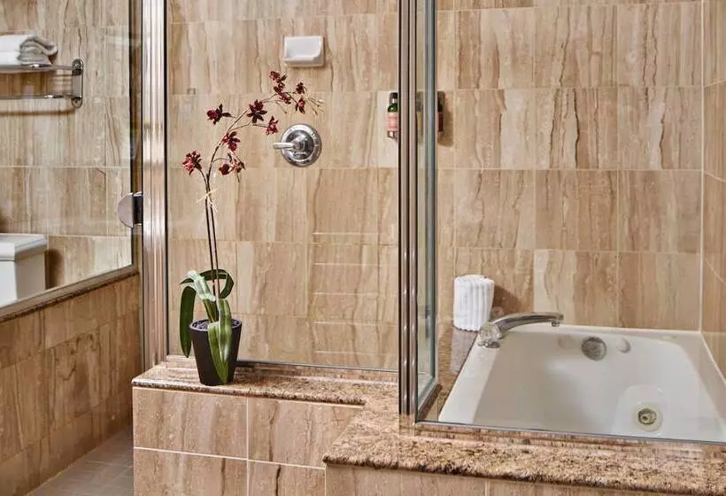 酒店 The Davenport Lusso, Autograph Collection