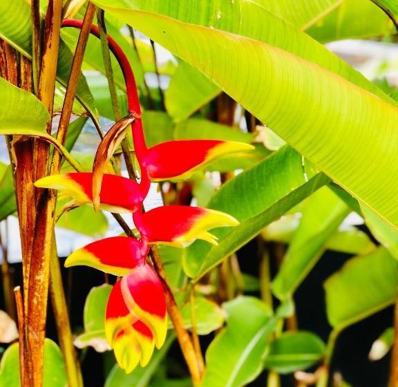 تختخواب و صبحانه The Good Life Eco Lodges Serenity & Wellness Resort Adult Only