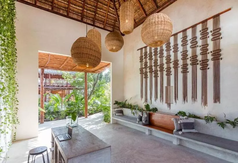 هتل Zenses Wellness And Yoga Resort  Adults Only