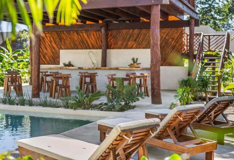 فندق Zenses Wellness And Yoga Resort  Adults Only