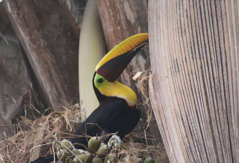 پانسیون Selva Linda Lodge Vacation Rentals