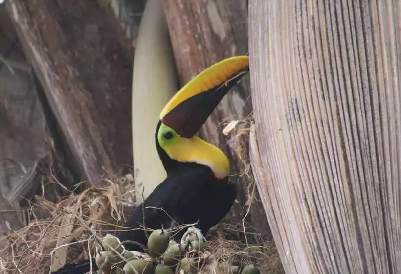 Majatalo Selva Linda Lodge Vacation Rentals