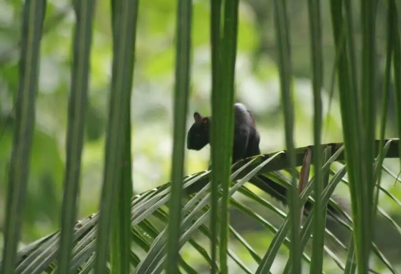 Majatalo Selva Linda Lodge Vacation Rentals