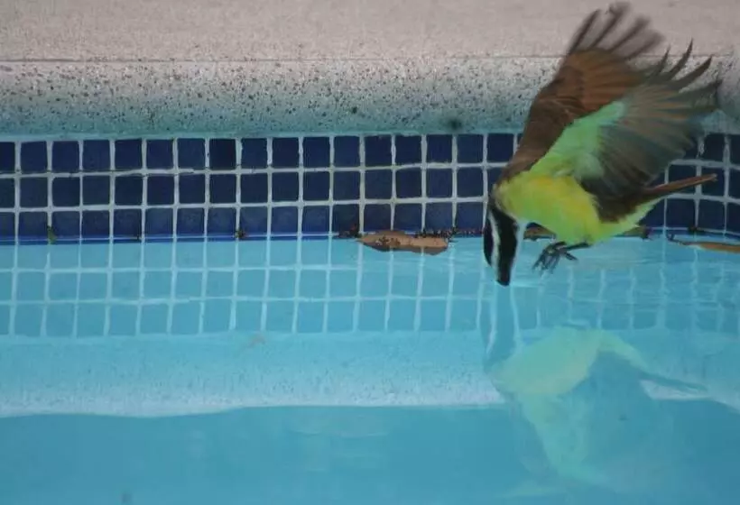 Majatalo Selva Linda Lodge Vacation Rentals