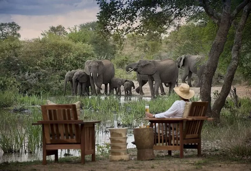 Hotelli Tanda Tula Safari Camp