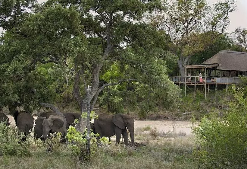 Hotelli Tanda Tula Safari Camp