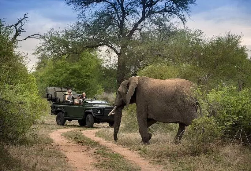 Hotelli Tanda Tula Safari Camp