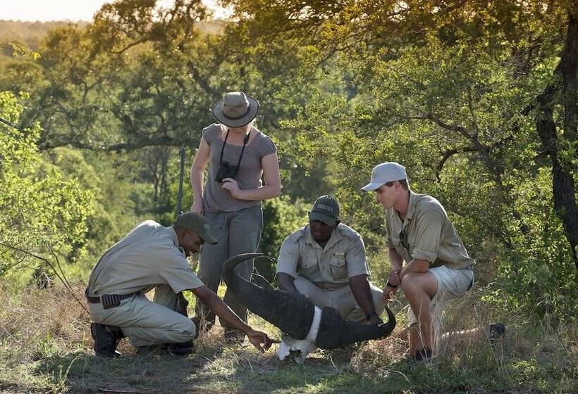 Отель Tanda Tula Safari Camp