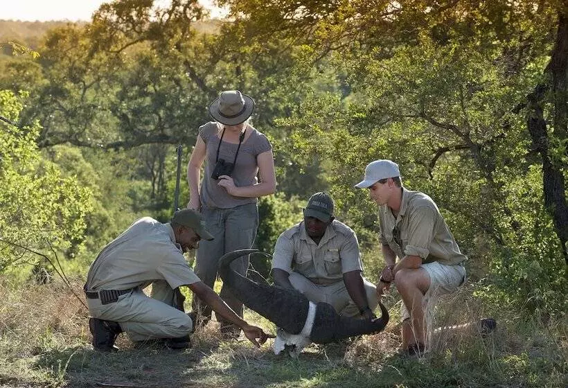 Hotelli Tanda Tula Safari Camp