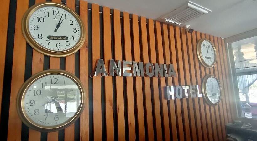 Hotell Anemonia