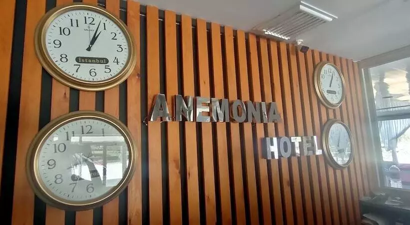 ホテル Anemonia