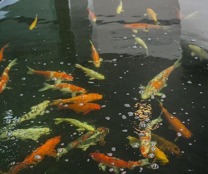 호텔 Thawan Apartment