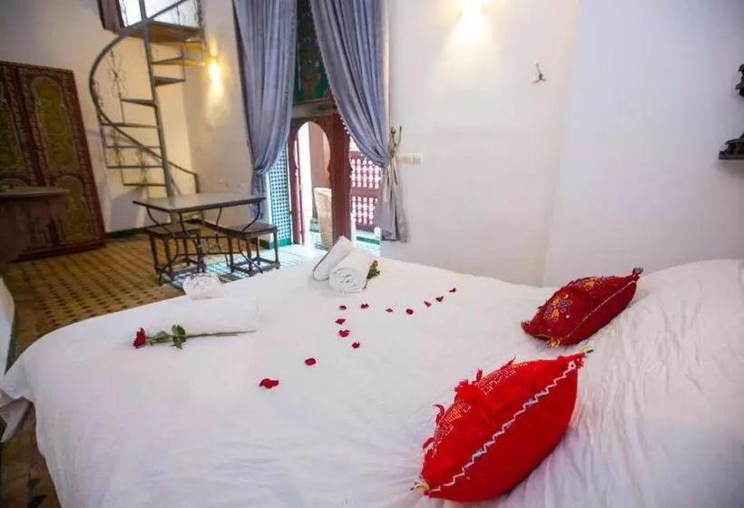 Riad Zina Fes   Elegance In The Heart Of Fes